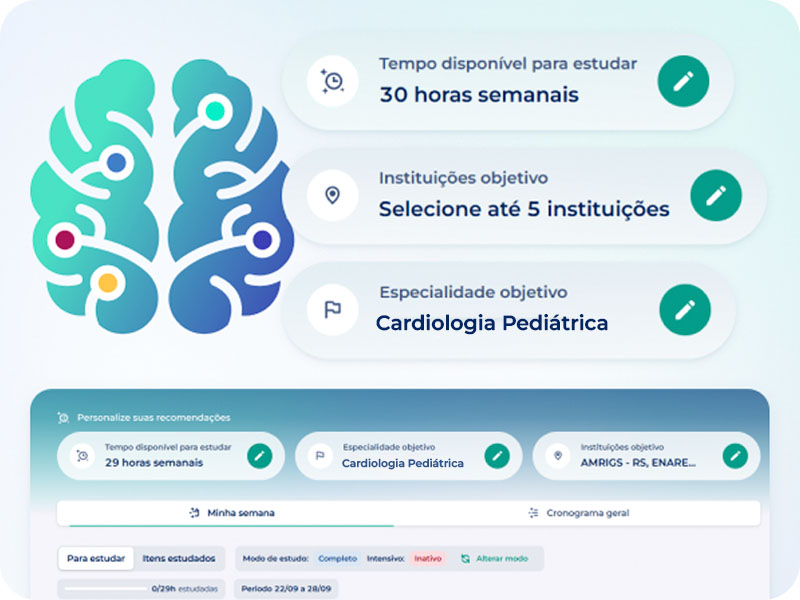 1.1-Organizacao-inteligente-dos-estudos