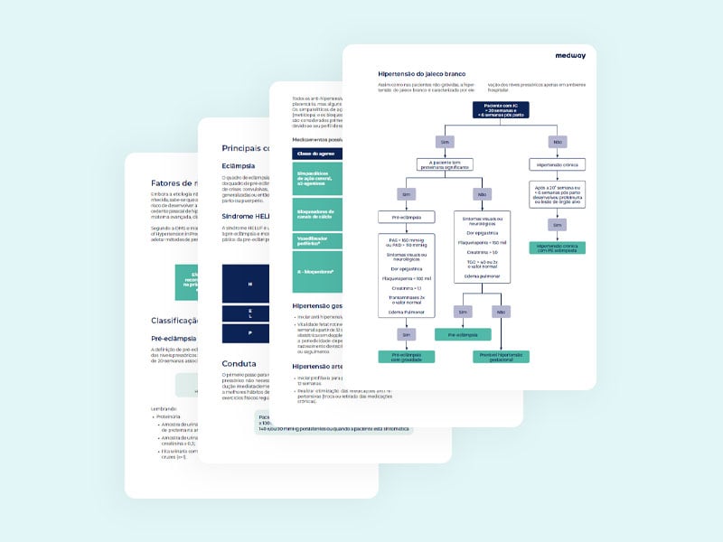 Fichas-resumo-digitais