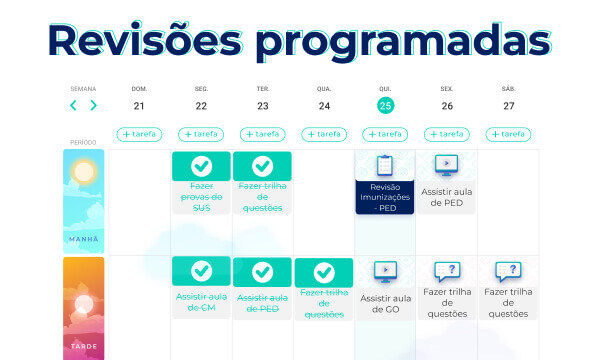 Revisao programado