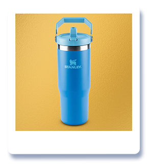 stanley (1)